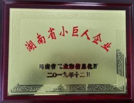 湖北榮譽(yù)證書(shū)